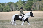 WJ7_6685