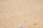 240317A-113630-05657