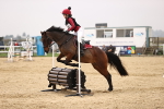 SBM_002291