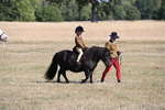 WJ6_7389
