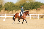 SBM_016703