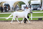 SBM_02475