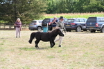 WJ6_7036