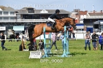 BPP_9060