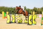 SBM_001915