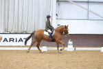 SBM_001941