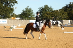 SBM_14177