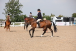 SBM_11466