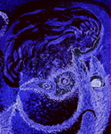 Blue Angel © Rowan Taliesin 2009