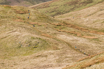 Jefferys Mount-183
