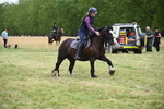 WJ6_5857