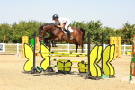 SBM_001495