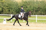 SBM_002978