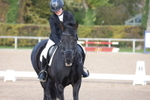 Unaffiliated Dressage portfolio