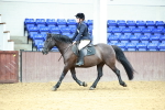 SBM_000269