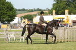 SBM_09529