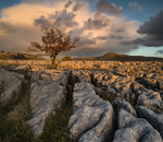 The Dales