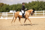 SBM_008798