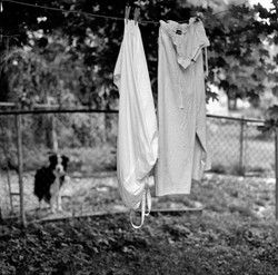 Black and White 6x6 Film portfolio