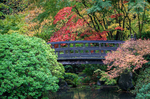 Colorful Bridge