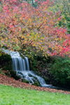 Autumn Colour