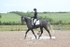 BPP_0033 1