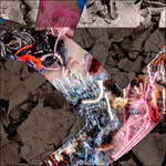 Magnified bits of fabric and leaves