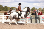 SBM_14431
