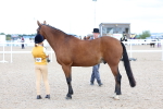 SBM_15373