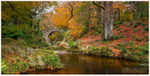The Arched Bridge, Tollymore Forest (IMG1106)