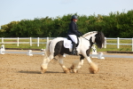 SBM_006972