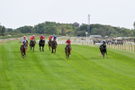 260826-Race 1-Mugheer-2092