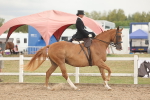 SBM_06322