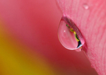 Delicacy Of Love,Sensuality