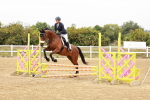 SBM_008033