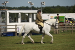 SBM_09565