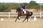 SBM_009729