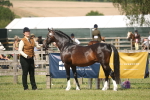 SBM_09104