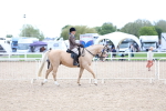 SBM_17050