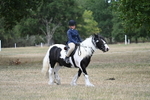 WJ7_4665