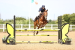 SBM_004441