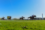 220426-Race 6-Aberama Gold-0779