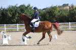 SBM_020219