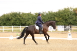 SBM_000269
