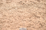 240720A-091511-13317