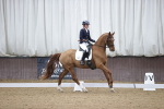 SBM_007175