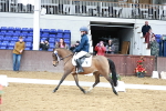 SBM_010204