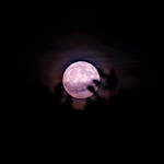 10th June Strawberry Moon