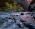 Hidden Sanctuary