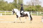 SBM_007857